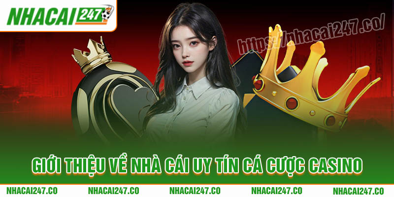 Giới thiệu chi tiết về nhà cái uy tín cá cược casino trực tuyến